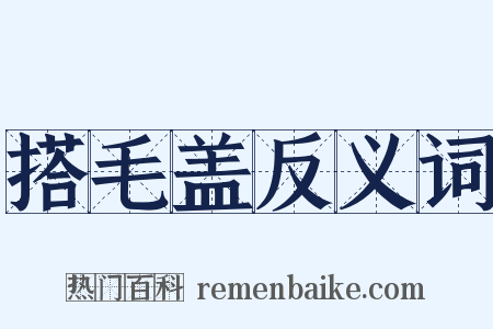 搭毛盖反义词是什么意思的图片